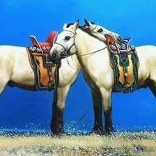 Схема вышивки «төгс эмэгтэй»