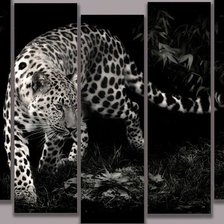 Схема вышивки «Кисааааа»