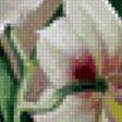 Предпросмотр схемы вышивки «натюрморт» (№874533)