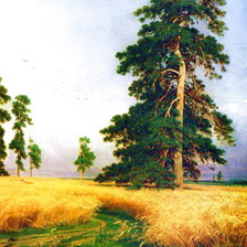 Схема вышивки «сосна»