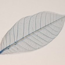 Схема вышивки «природная серия»