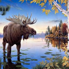 Схема вышивки «лось на лесном озере»