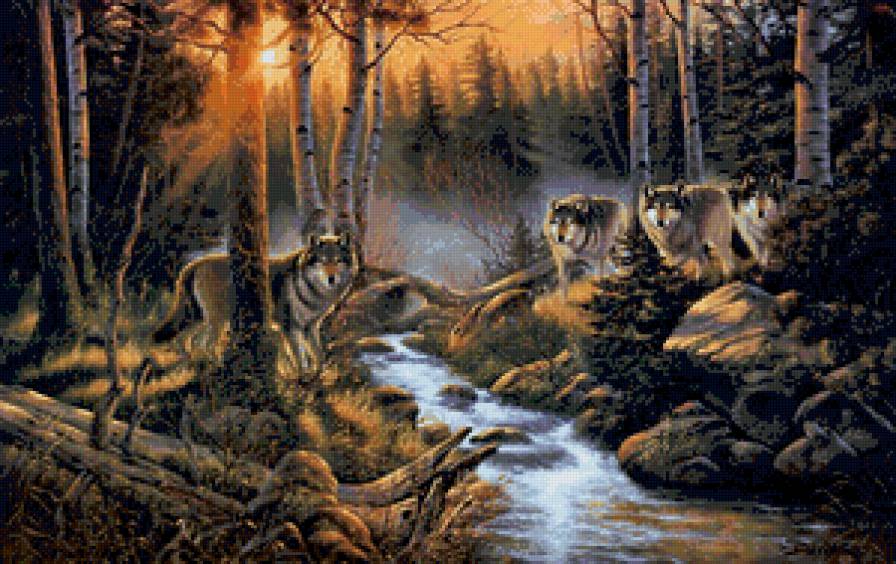 волки в лесу - лес, пейзаж, волки, животные, природа - предпросмотр