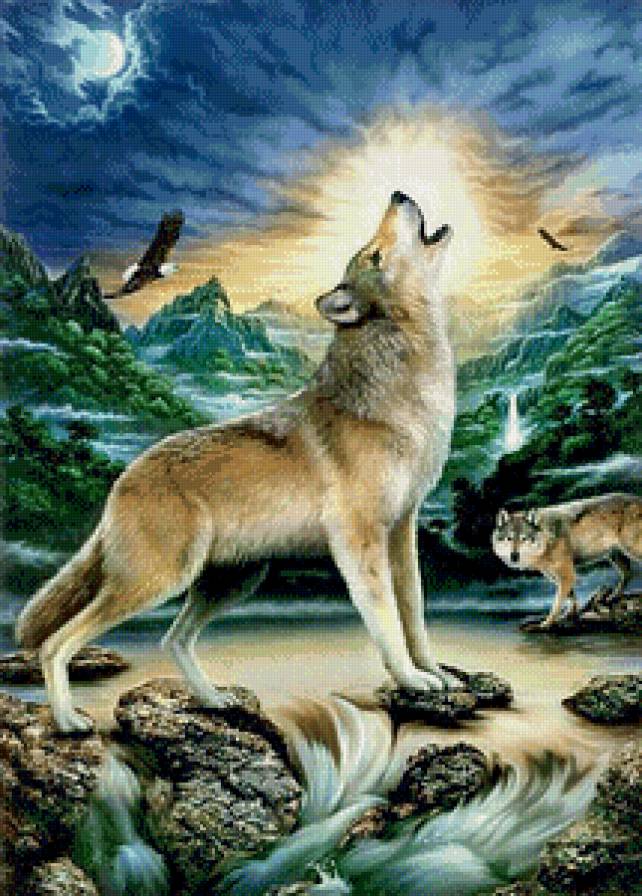 Волки - животные, волки, лес - предпросмотр