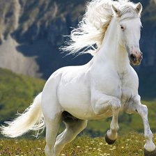 Схема вышивки «бегущая лошадь»