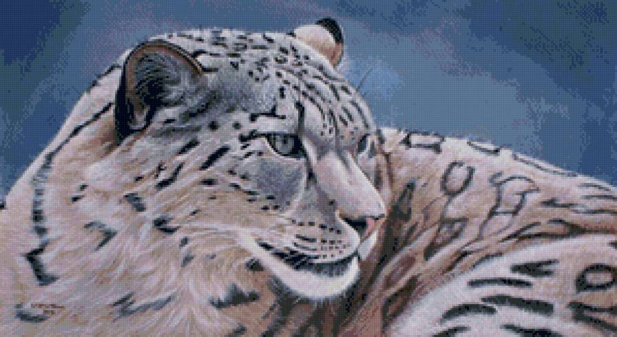 кошка - леопард, животное, кошка, тигр - предпросмотр