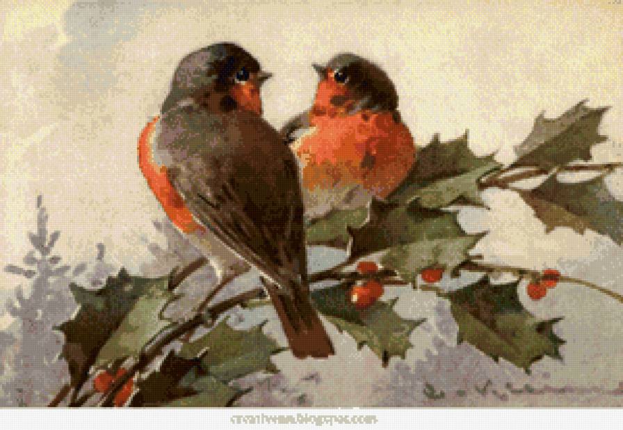 две птички - ягоды, птица, пара, рябина - предпросмотр