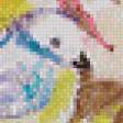 Предпросмотр схемы вышивки «радужные сны» (№875270)