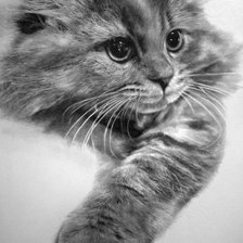 Схема вышивки «Котик»