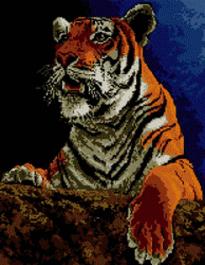 тигр - тигр, хищник - предпросмотр