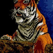 тигр