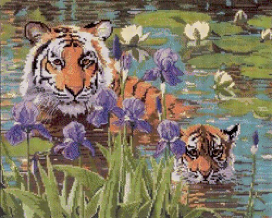 тигрица с тигренком - хищник, берег, игра, вода, тигр - предпросмотр