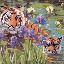 тигрица с тигренком