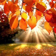 Схема вышивки «Осень»