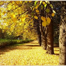 Схема вышивки «Осень»