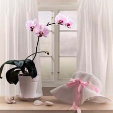 Схема вышивки «Орхидея»