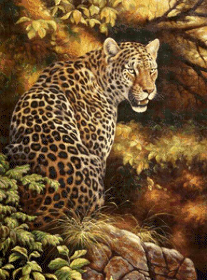 Дикие животные - животные, природа, дикие кошки - предпросмотр