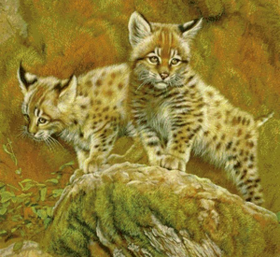 Малыши - природа, животные, дикие кошки - предпросмотр