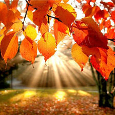 Схема вышивки «Осень»