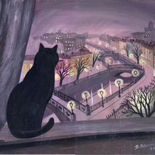 любопытный кот