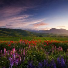 Схема вышивки «пейзаж»