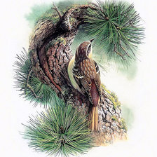 Схема вышивки «№875954»