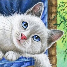 Схема вышивки «серия ,,кошки"»