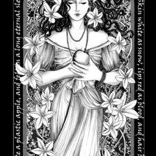 Схема вышивки «красавица»