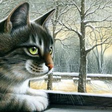 серия ,,кошки