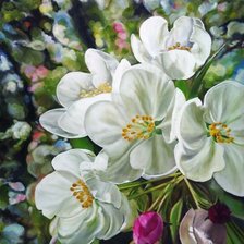 яблоня в цвету