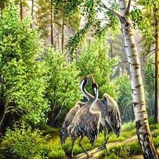 Схема вышивки «Журавлиный танец»