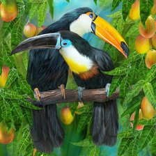 Схема вышивки «птички»