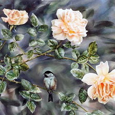 на ветке розы