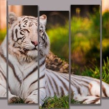 Схема вышивки «Тигр»