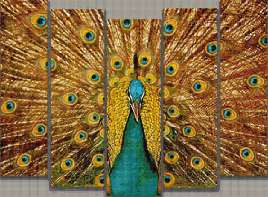 Павлин - птицы - предпросмотр