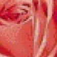 Предпросмотр схемы вышивки «Розы» (№876793)