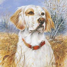 Схема вышивки «сеттер»