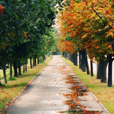 Схема вышивки «Аллея лето-осень»