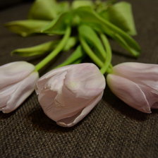 Схема вышивки «Букет»