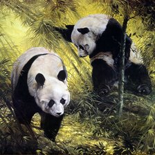 Схема вышивки «панды»