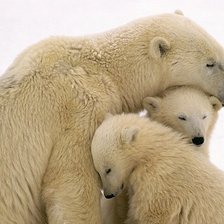 Схема вышивки «мишки»