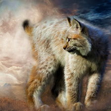 Схема вышивки «рысь»