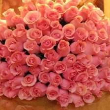 Схема вышивки «Розы»