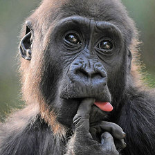 Схема вышивки «задумался»