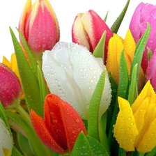 Схема вышивки «подушка2»