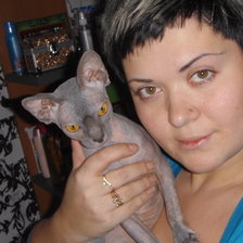 Схема вышивки «z»