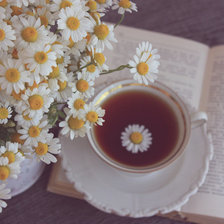 Схема вышивки «ромашковый чай»