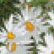 Предпросмотр схемы вышивки «Ромашки !» (№878585)