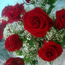 Схема вышивки «розовые розы»