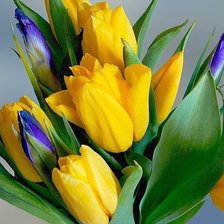 Схема вышивки «№878766»